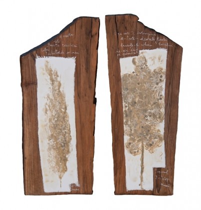 Usile Raiului,pigmenti cu emulsie,lemn de nuc,2x24x58cm,2015