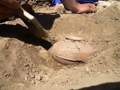 Arheologii au DESCOPERIT un vas plin cu semințe. Ce a IEȘIT din ele, după 800 de ani!
