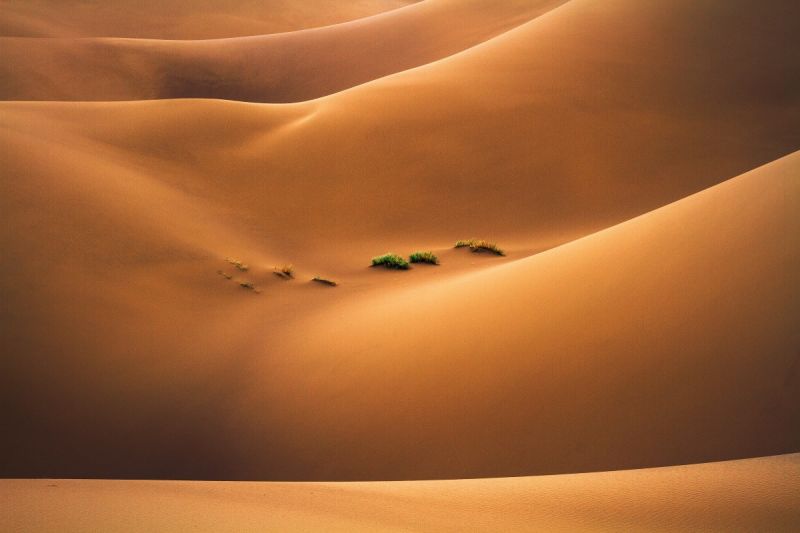 aafr-m-ars-foto-2017-arash-mahdavi-iran-pubes-of-desert