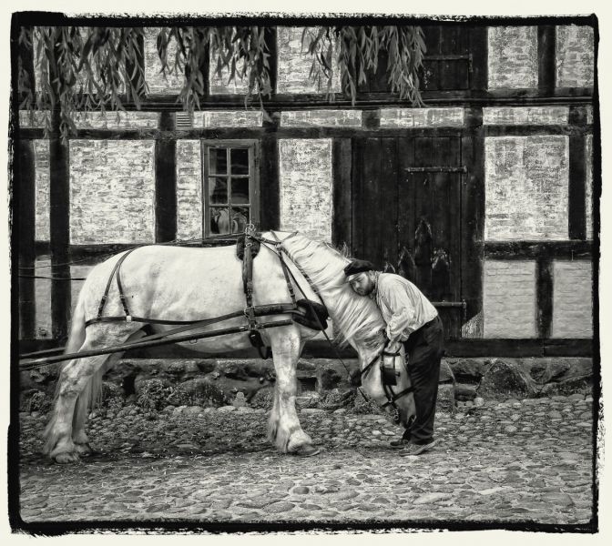 fiap-3-ars-foto-2017-nils-erik-jerlemar-suedia-man-and-horse