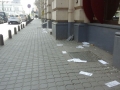 gunoi-pe-strada