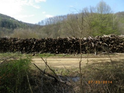 Peste 400 de metri cubi de lemne, care ar putea proveni din tăieri ilegale, depistate la Petriş