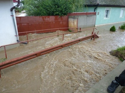 Peste 60 de imobile inundate în Pâncota