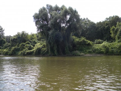Un râu a DISPĂRUT COMPLET în doar PATRU ZILE