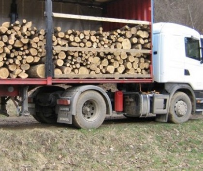 Transport ILEGAL de lemne, depistat în Vladimirescu
