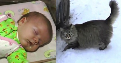 VIDEO/ Felina care A IMPRESIONAT o lume întreagă:  A SALVAT DE LA MOARTE un bebeluş abandonat