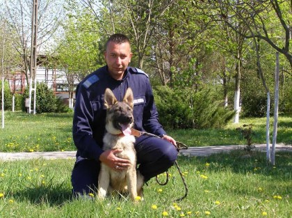 Câinele SUN, noul coleg al jandarmilor arădeni: Un AJUTOR DE BAZĂ în misiuni