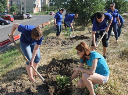 Tinerii liberali arădeni au plantat stejari, de Ziua Mondială a Mediului (GALERIE FOTO)