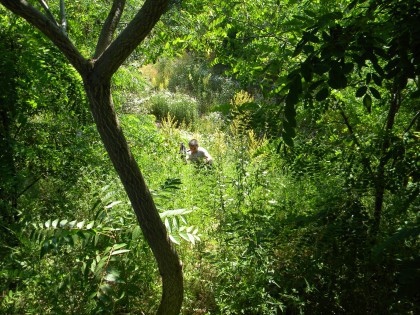 Un bărbat de 70 de ani s-a rătăcit în pădure cu nepoții săi. A fost solicitată intervenția ISU