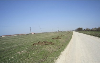 ANUNȚ/ Organizarea licitației publice privind închirierea unor suprafețe de  pășuni proprietatea privată a comunei Vinga, pentru pășunatul animalelor