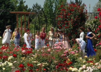 FOTO/ „Sărbătoarea Trandafirului”, IGNORATĂ de AUTORITĂŢILE şi UNIVERSITĂŢILE arădene
