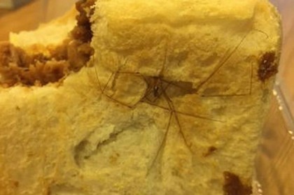 Horrifying-moment-man-finds-huge-spider-in-his-pulled-pork-sandwich