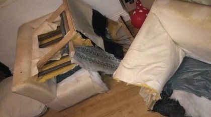 Woman-sells-sofa-on-facebook-with-hilarious-results