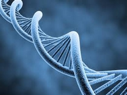 Descoperire epocală: MESAJ SECRET de origine EXTRATERESTRĂ (ori SEMNĂTURA lui DUMNEZEU) în ADN-ul uman!