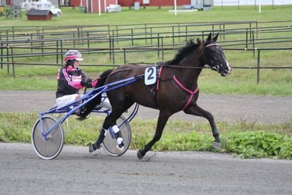 Helena Ståhl horse 2