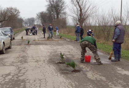 NEPĂSAREA autorităţilor a fost TAXATĂ: La plantat de copaci şi pescuit, pe un drum judeţean (GALERIE FOTO + VIDEO)