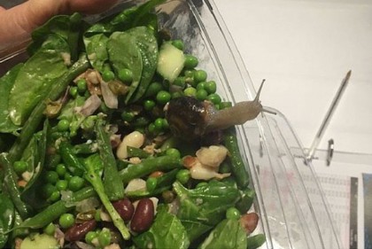 melc salata
