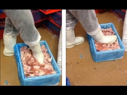 Carne de pui DEZGHEȚATĂ CU PICOARELE de angajatul unei fabrici. IMAGINILE sunt REVOLTĂTOARE! (VIDEO)