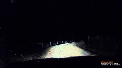 Conduceau NOAPTEA pe un drum pustiu când le-a SĂRIT asta pe mașină! (VIDEO)