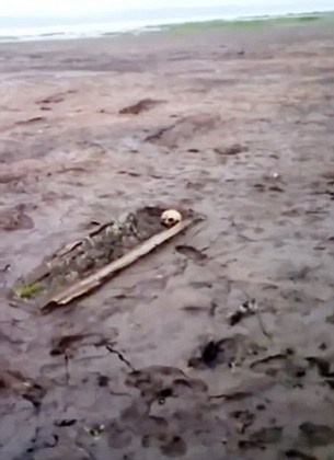 Spooky human remains found as Bratsk Reservoir dries up