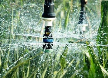 EXCLUSIV/ Autorităţile maghiare sunt SCANDALIZATE! Apa pentru irigaţii provenită din România este POLUATĂ