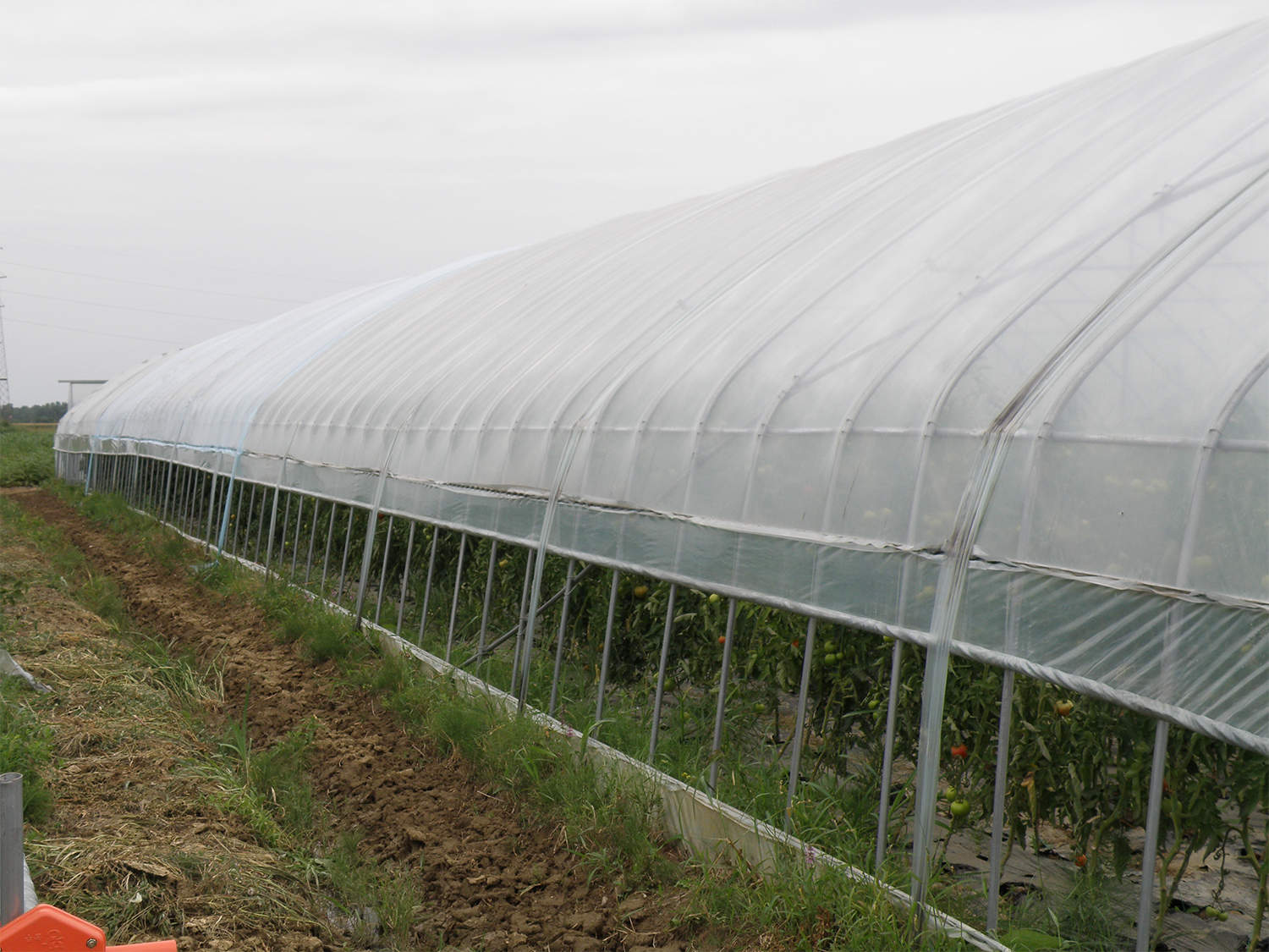 PSD va cere în Coaliție anularea impozitului pe solarii.