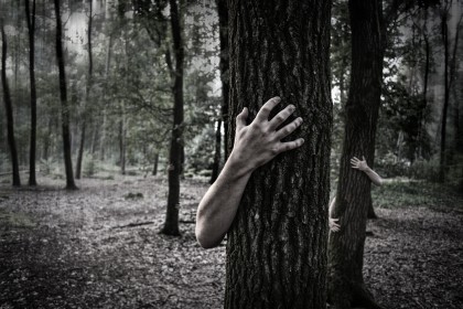 Cea Mai Horror Pădure Ai Curaj Să Intri In Ea Ascunde Un Secret