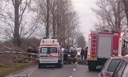 BREAKING NEWS/ Copac căzut peste mașină! Persoană RĂNITĂ, prinsă între fiarele autovehiculului (UPDATE)