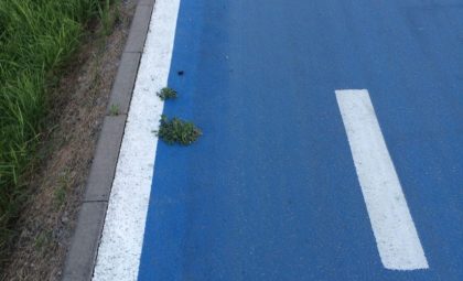 Creşte iarba pe pistele pentru biciclete care au costat MILIOANE de EURO (FOTO)