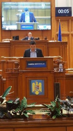 Deputatul Sergiu Vlad acuză PSD că întreţine dezastrul şi nesiguranţa din păduri