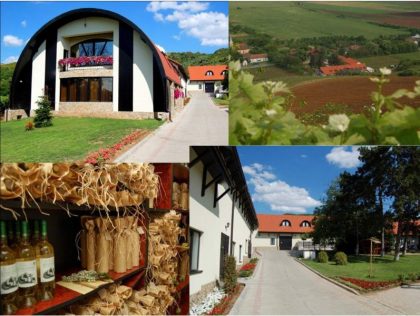 Reîncepe „Circuitul Cramelor”: Prima degustare va avea loc la Casa Vinului Brici din Mâsca, în Podgoria Miniș