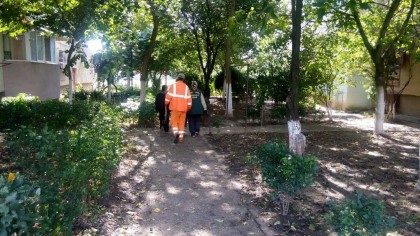Echipele Companiei de Apă Arad participă la „Curăţenia de toamnă 2017”
