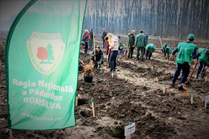 ROMSILVA a dat startul campaniei de ÎMPĂDURIRI DE TOAMNĂ. Câți copaci vor fi plantați