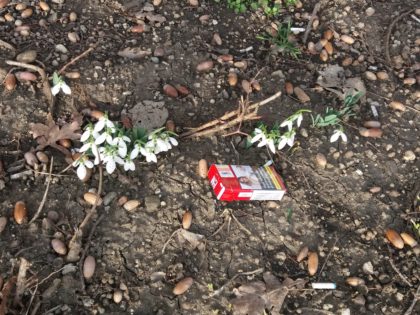 Așa arată Aradul anului 2018: Ne înghit GUNOAIELE! Pachetele goale de țigări sunt vestitorii primăverii