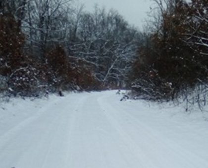 UPDATE/ Zăpada dă peste cap circulația și pe drumurile județene. Apel disperat la 112 (GALERIE FOTO)