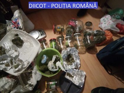 Kilograme de DROGURI găsite în casa unui ARĂDEAN. Avea de toate:  cannabis, DOB, LSD, ciuperci halucinogene