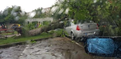 FURTUNA a făcut PRĂPĂD în oraș! Arbori căzuți, inundații și mașini avariate