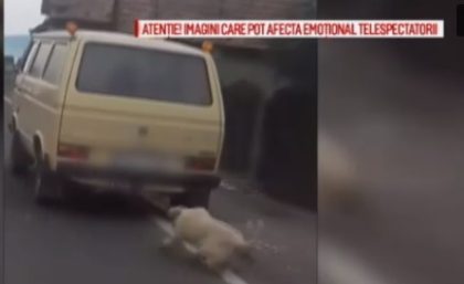 CRUZIME FĂRĂ MARGINI! Un bărbat și-a LEGAT câinele de mașină și l-a TÂRÂT după el