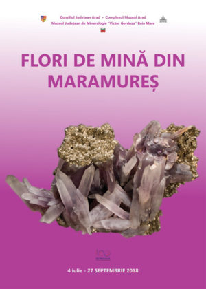 „Flori de mină din Maramureș” la Complexul Muzeal Arad. Ce vor putea admira vizitatorii