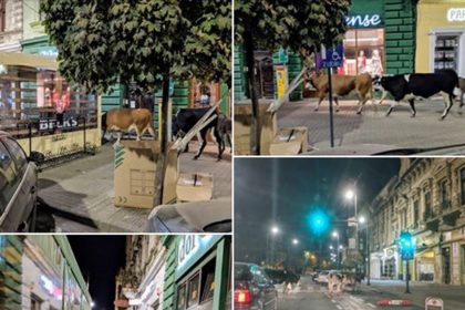 Fascinanta VIAŢĂ DE NOAPTE din Arad: Imagini ULUITOARE din centrul oraşului