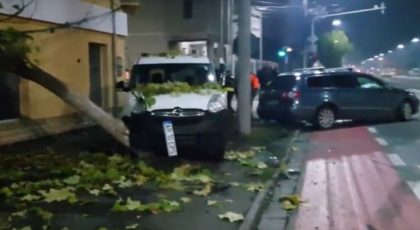 CARAMBOL pe şosea, în Arad: PATRU autoturisme, implicate într-un ACCIDENT! O mașină a ajuns pe TROTUAR (VIDEO)