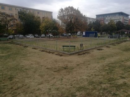 Unde amenajează Primăria Municipiului Arad primul parc destinat recreării patrupezilor