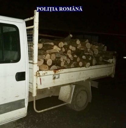 Transport ilegal de lemne, depistat la Lipova