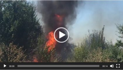 Incendiu VIOLENT la ieșirea din Arad. Lupta cu flăcările (FOTO + VIDEO)