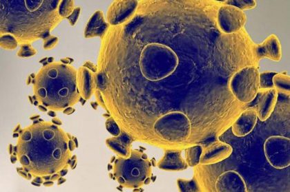 Mortalitatea în Italia prin infectarea cu Coronavirus, de 30 de ori mai mare decât în ​​Germania – posibile explicații și teoria conspirației