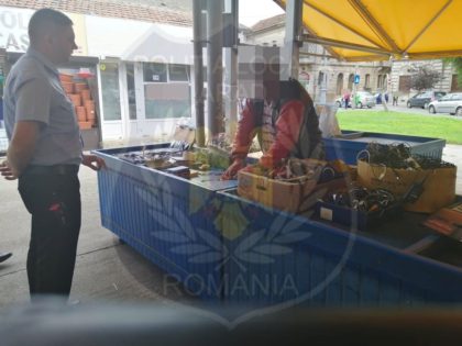 Un CUNOSCUT vânzător din Piața Catedralei s-a ales cu AMENDĂ și cu MARFA CONFISCATĂ (GALERIE FOTO)