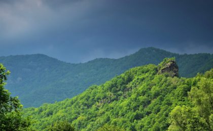 Ziua Europeană a Parcurilor marcată în cele 22 de parcuri naționale și naturale administrate de Romsilva