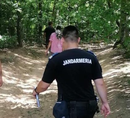Angajații unei firme de exploatare forestieră, prinși la furat într-o pădure din Arad
