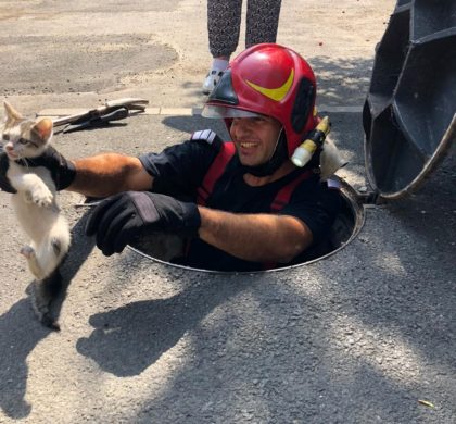 Pui de pisică căzut într-un canal, salvat de pompieri