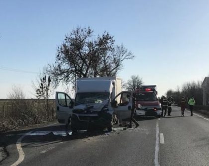 Accident rutier pe DN79, în zona Domeniului Lupaș (FOTO)